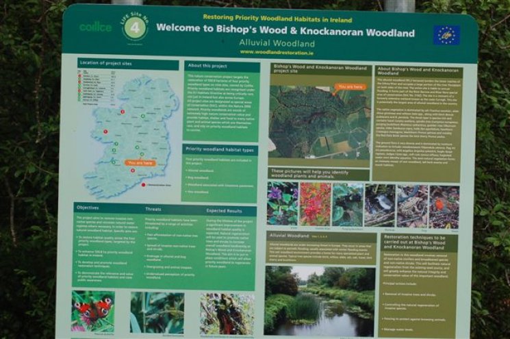 Coillte Woodland Restoration in Ireland